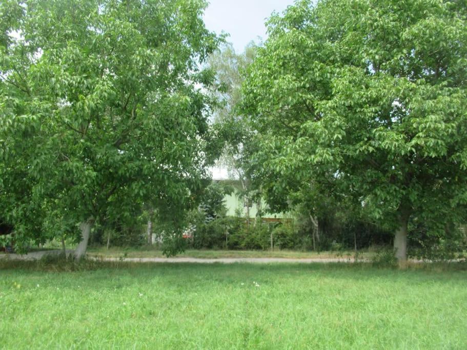 Ferienwohnung Im Gruenen Gottenheim エクステリア 写真